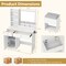 Costway Vanity Set Dressing Table and Chair Set with 3 Lighting Modes & Mirror and Lights White/Black